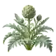 Artichaut
