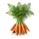 Carotte Nantaise
