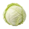 Chou Blanc