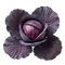 Chou Rouge