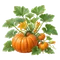 Citrouille