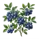Myrtillier