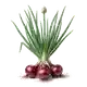 Oignon Rouge