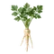 Panais