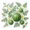 Pastèque