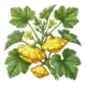 Pâtisson