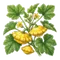 Pâtisson