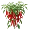 Piment de Cayenne