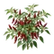 Piment d'Espelette