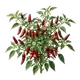 Piment d'Espelette